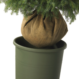 Botanic line pot voor kerstboom met kluit 40 cm rond donkergroen 