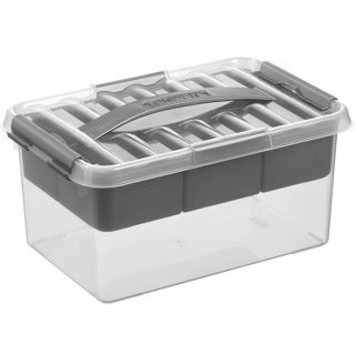 Q-line storage box with tray 6L transparent metallic