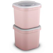 Sigma home Food to go mini lunch containers set of 2 pink