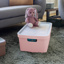 Sigma home Aufbewahrungsbox 45L rosa