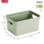 Sigma home Aufbewahrungsbox 5L grün